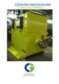 CG Power Systems-N-Series-High Voltage Induction Motor