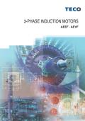 3 Phase Induction Motors-AEEF AEVF