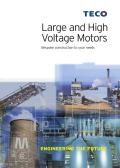 Large and High Voltage Motors
