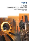 3 Phase slipring induction motors-AEEQ AEJS