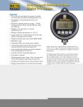 Martel Electronics-BetaGauge PIR Digital Pressure Gauge