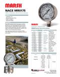  Marsh Division - NACE MR0175 100mm Stainless Steel Internal Gauge