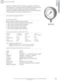 Badotherm Group-BDT17-08 - Test pressure gauge 0.25%