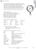 Badotherm Group-BDT20 - All stainless steel solid front pressure gauge