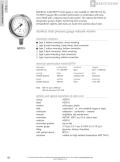 Badotherm Group-BDT19 - All stainless steel reduced volume pressure gauge