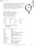 Badotherm Group-BDT18 - All stainless steel pressure gauge
