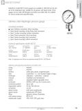 Badotherm Group-BDT12 - All stainless steel diaphragm pressure gauge